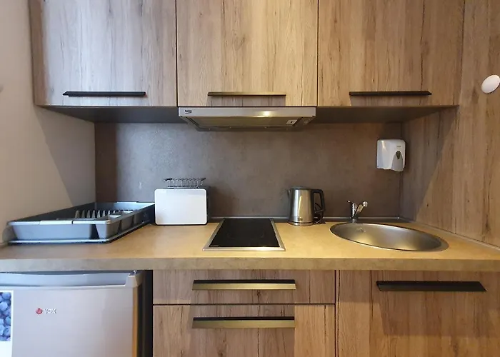 Lägenhet Planinsko Jutro - Centar Apartments, Kopaonik Brzeće