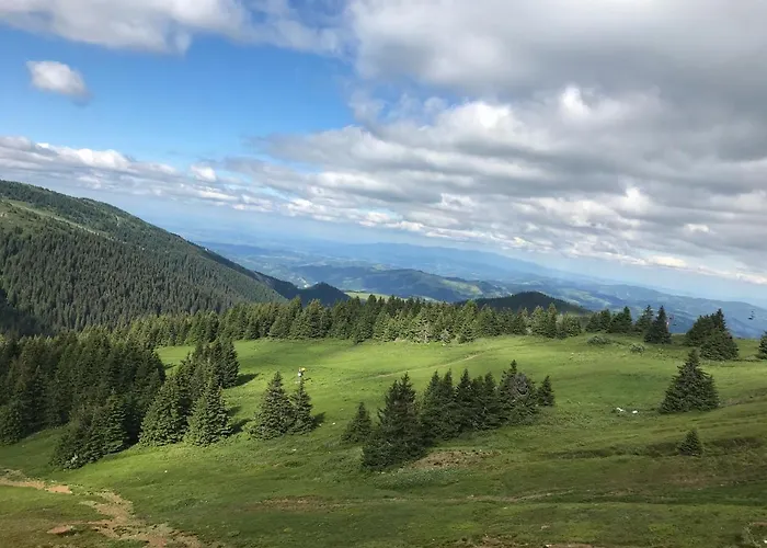 Planinsko Jutro - Centar Apartments, Kopaonik * Brzeće