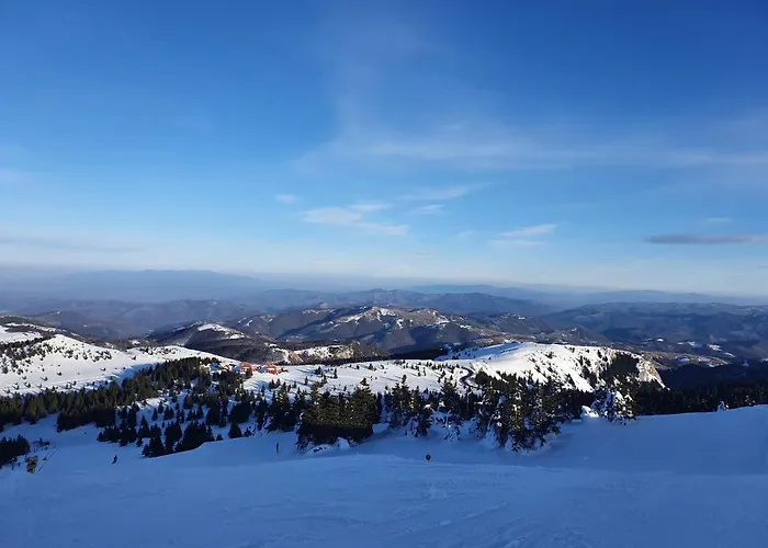 Planinsko Jutro - Centar Apartments, Kopaonik Lägenhet *