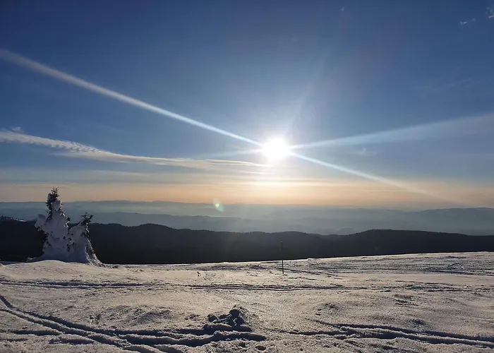 Planinsko Jutro - Centar Apartments, Kopaonik Lägenhet *